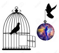 Bird-in-the-cage-e1.jpg