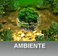 AMBIENTE-1.jpg