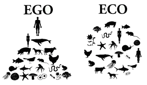 Ego-Eco.png
