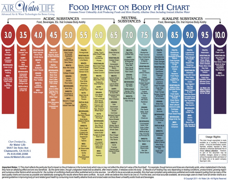 FoodImpactOnBody-pH-Chart.jpg
