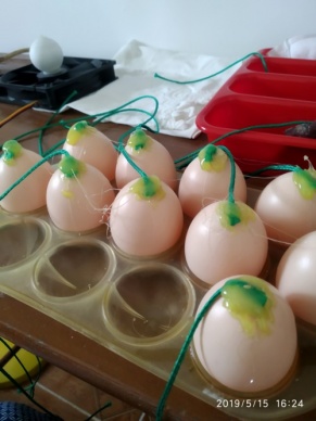 Huevos con gans.jpg
